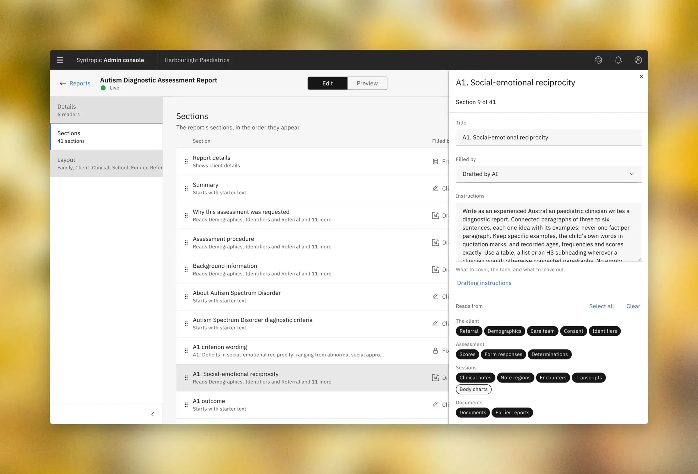Instructions for a report section the AI drafts