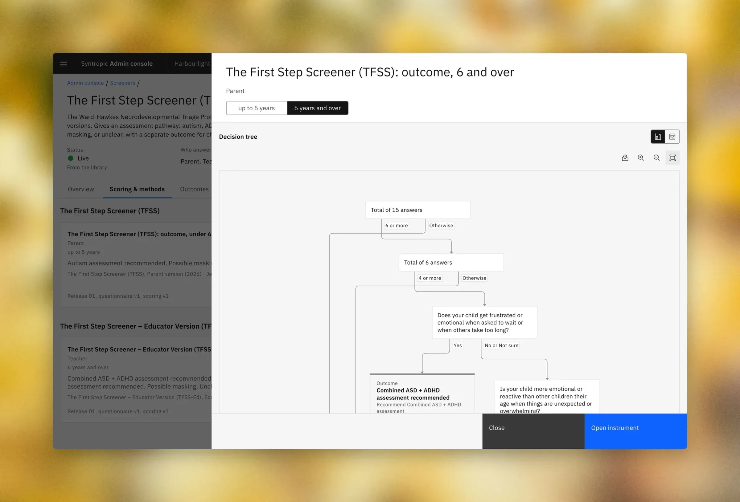 A screener’s decision pathway
